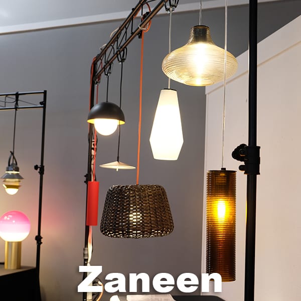 Zaneen